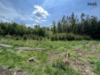 Prodej lesa, OV, 1 948 m2, Kadov - Pole, okres Strakonice - Foto 1