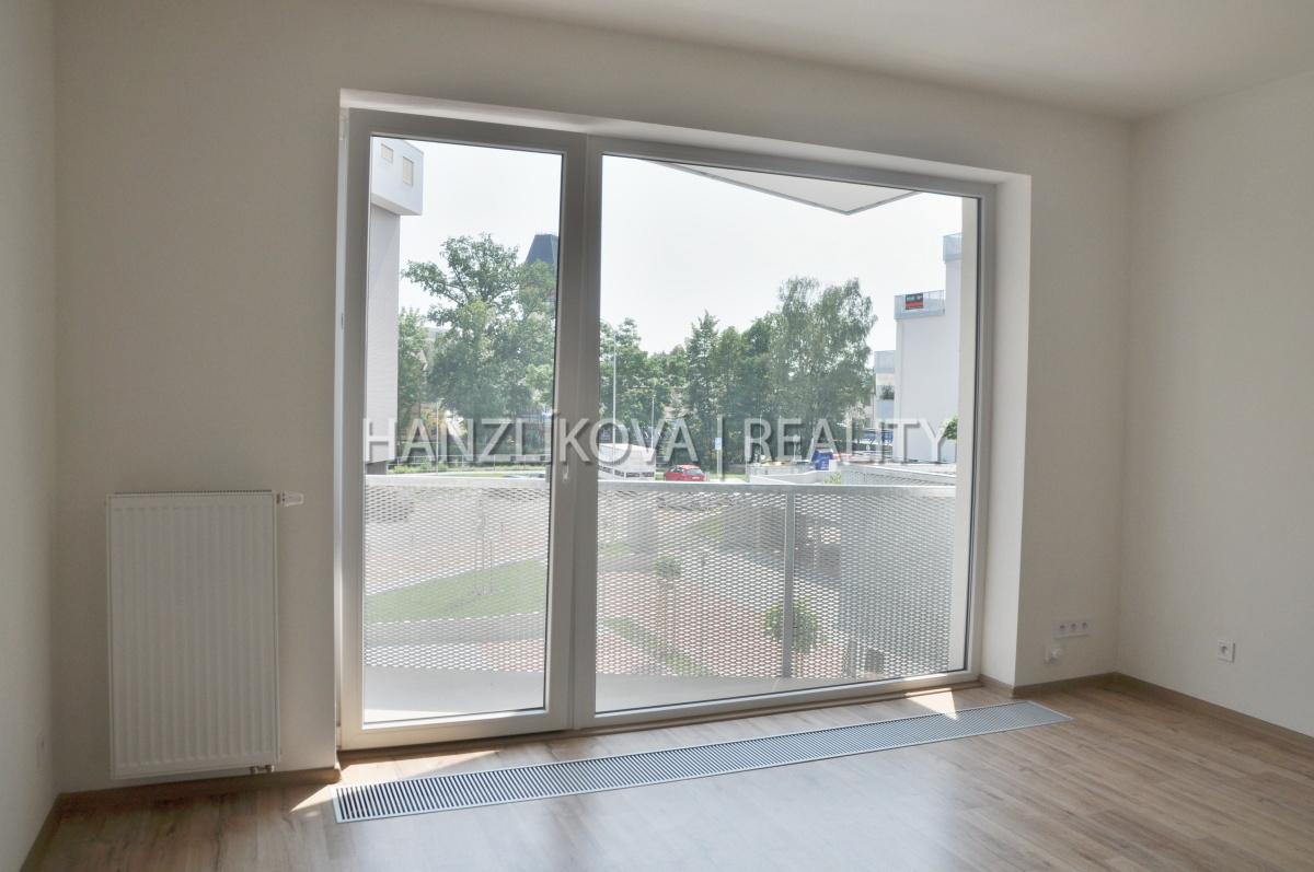 Obývací pokoj, pronájem bytu 1+kk, Dlouhá Louka, České Budějovice