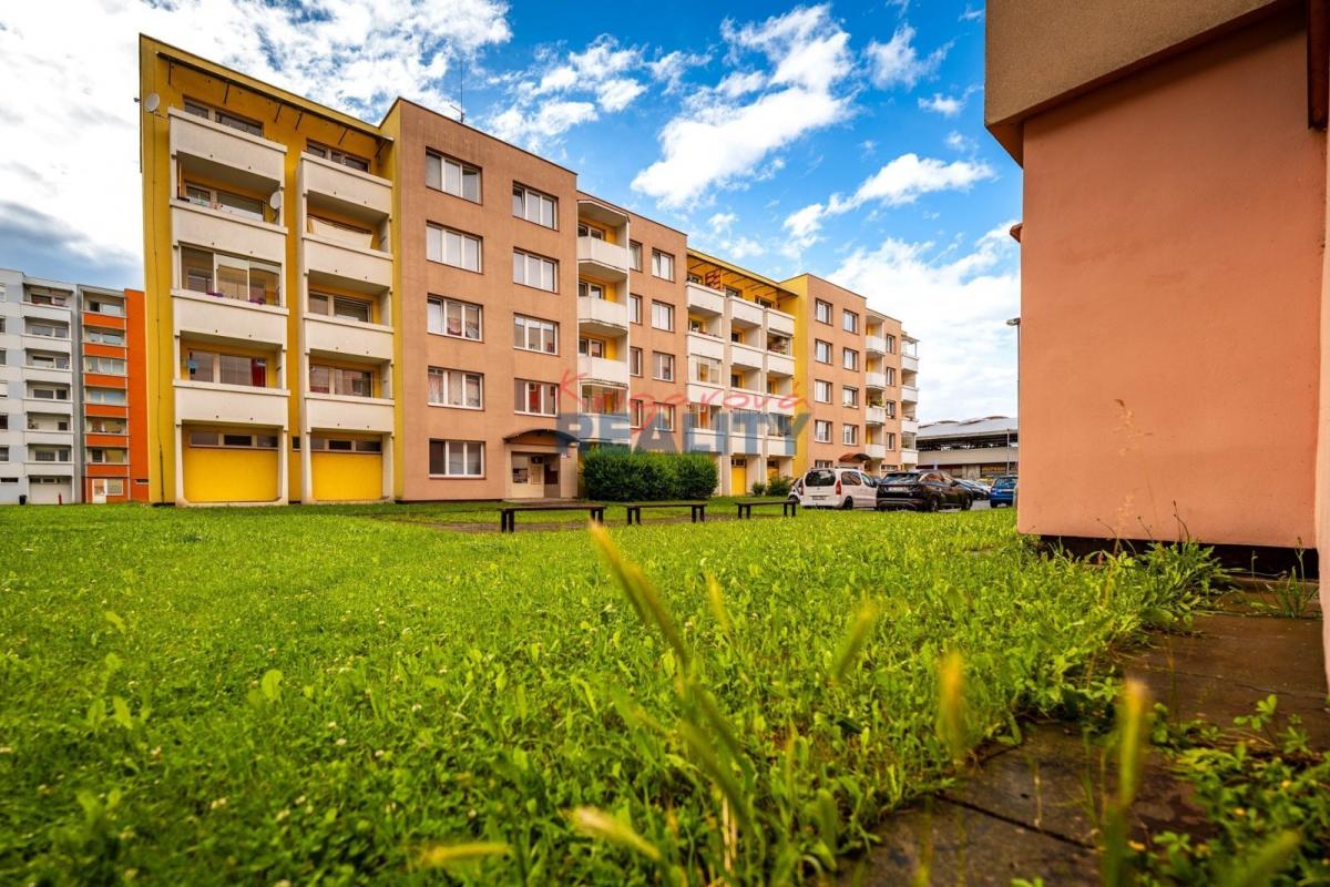 dům