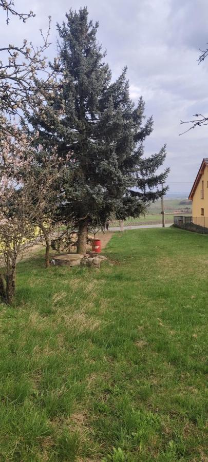 Prodej stavebního pozemku na řadový RD v obci Viničné Šumice