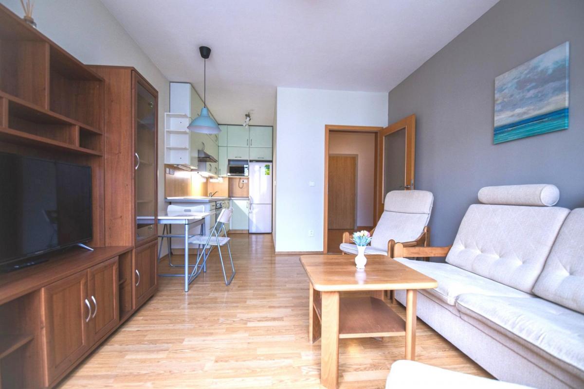 Pronájem zařízeného bytu 2+kk s balkonem, 52 m2,