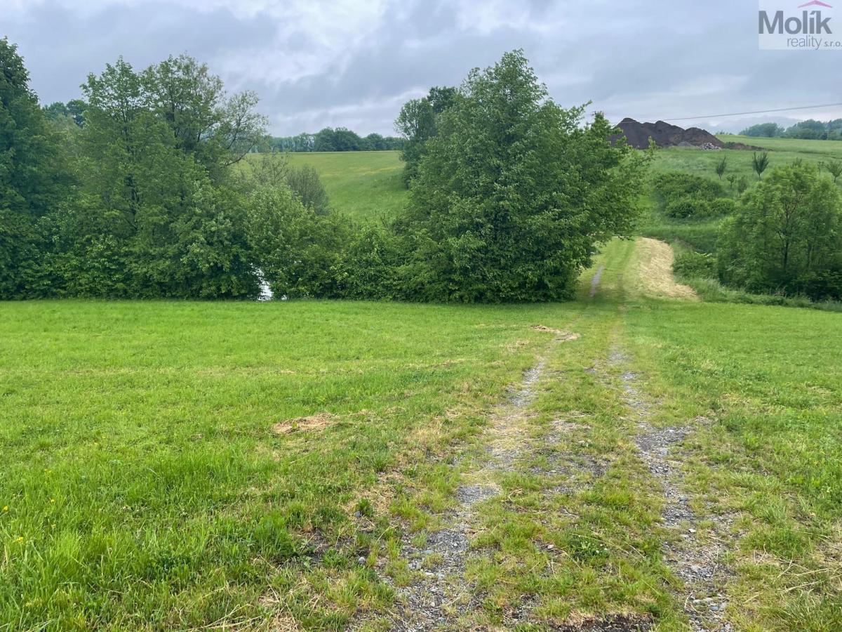 Prodej, pozemky, 33045 m2, Palačov, Starý Jičín