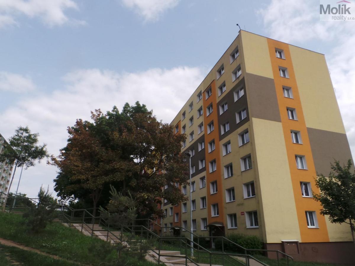 Pronájem bytové jednotky 1+1, 33 m2, ulice Generála Svobody Jirkov