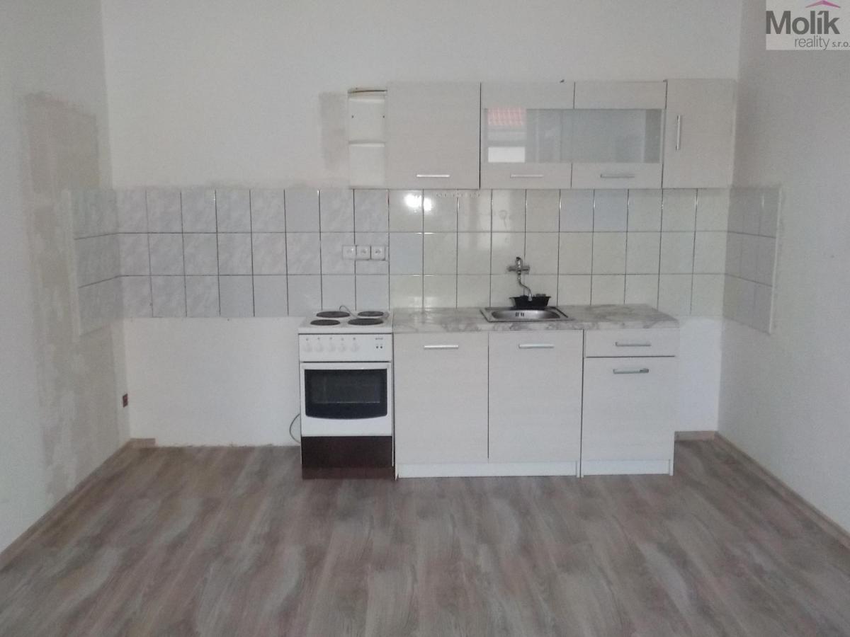 Pronájem bytu 1+1, 45 m2,Teplice, ul. Havířská