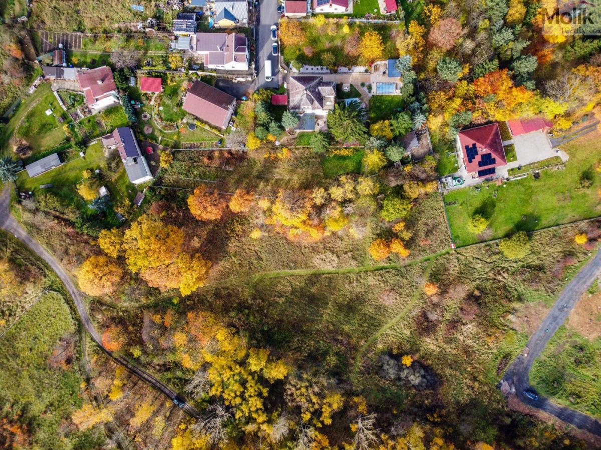 Prodej stavebního pozemku o výměře 6468 m2,  Košťany - Střelná, okr. Teplice