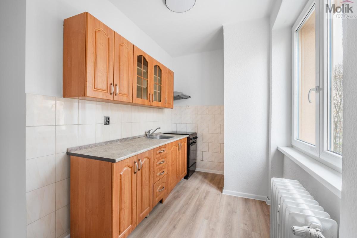 Pronájem bytu 2+1, 54m2, Maxe Švabinského, Most