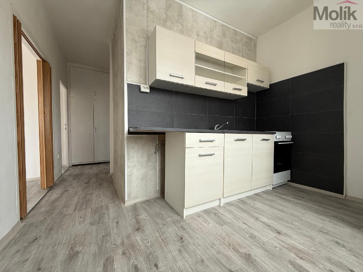 Pronájem bytu 2 + 1 s francouzským oknem, ul. Jaroslava Vrchlického, Most, 56 m2