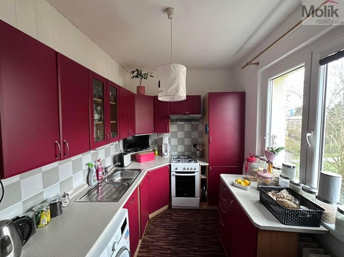 Byt 2+1+L, ul. V. Nezvala, Most