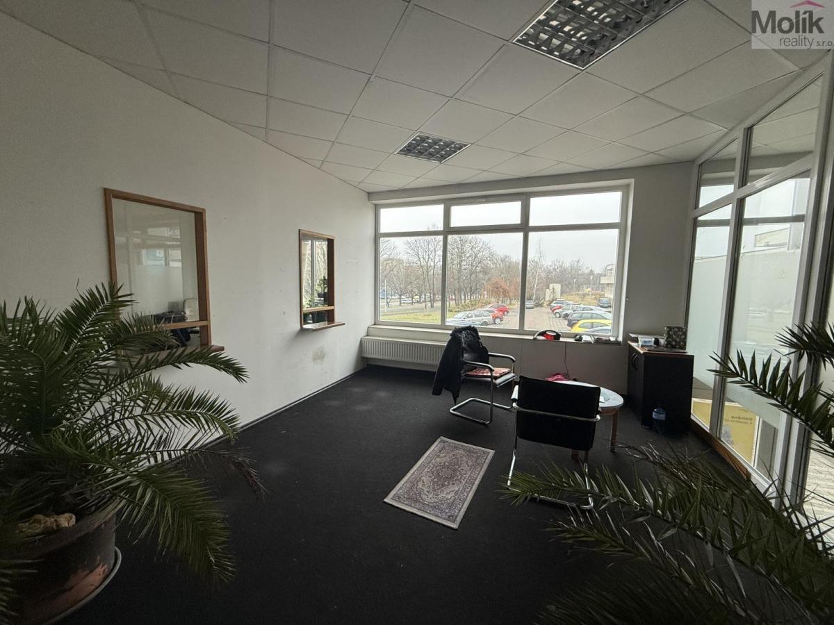 Kanceláře k pronájmu, ul. Moskevská