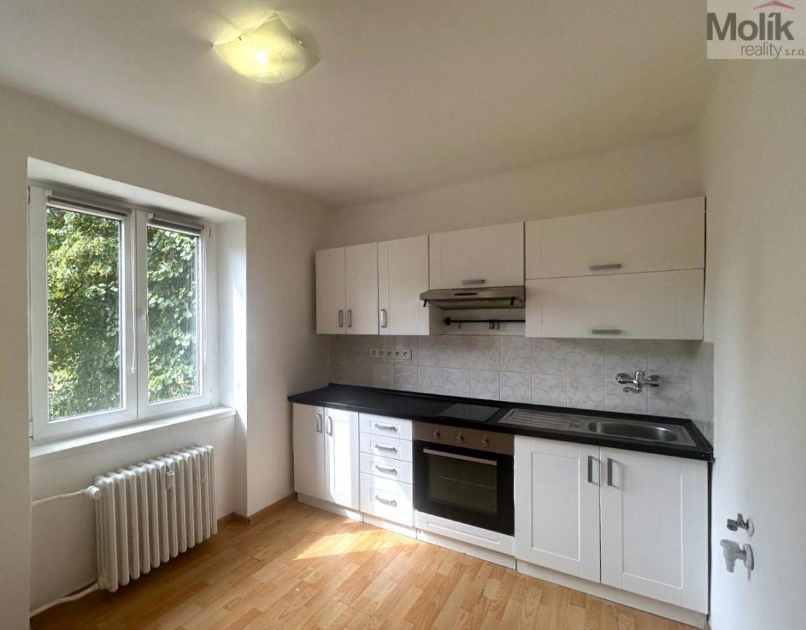 Byt 1+1, ul. Lesní, Most