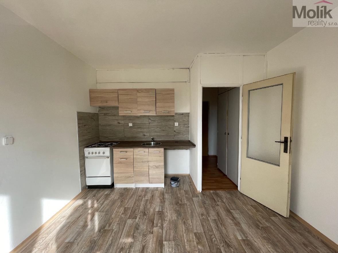 Pronájem bytu 1 + 1, ul. Boženy Němcové, Horní Litvínov, Litvínov 35 m2