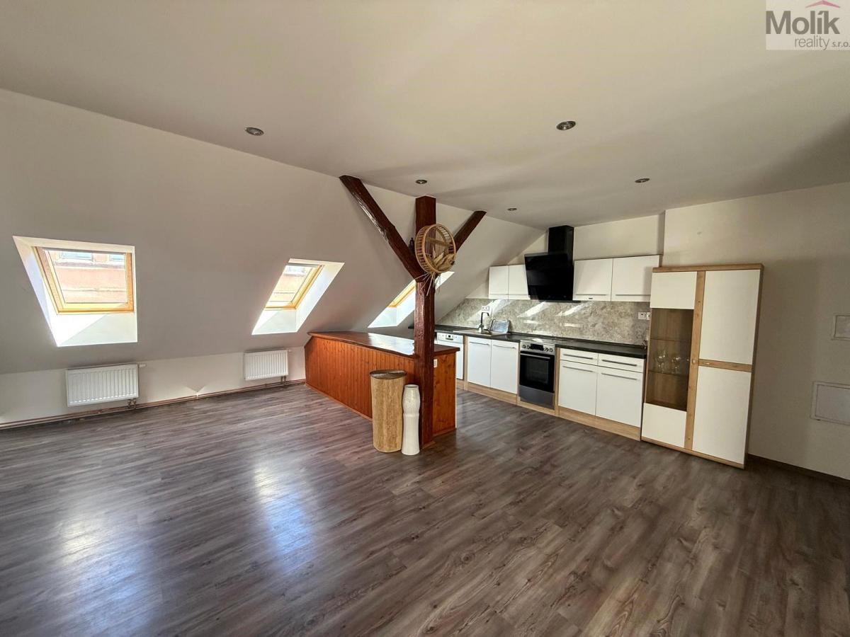 Byt 3+kk, ul. Thámova, Teplice