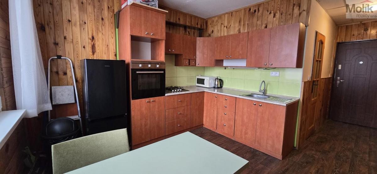 Pronájem bytu 1+1 37 m², ul. Tylova, Litvínov 