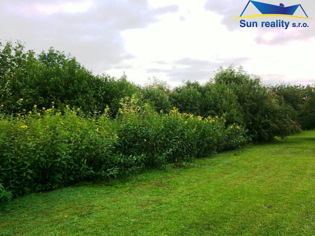 K prodeji pozemek pro stavbu rodinných domků 2.900 m2