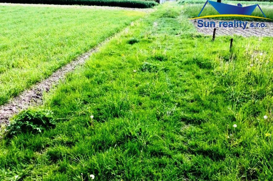 Prodej pozemku 9.900 m2 ke komerčnímu využití 