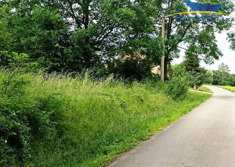 K prodeji stavební parcela  10.687 m2, v případném zájmu také s loukou 29.247 m2 