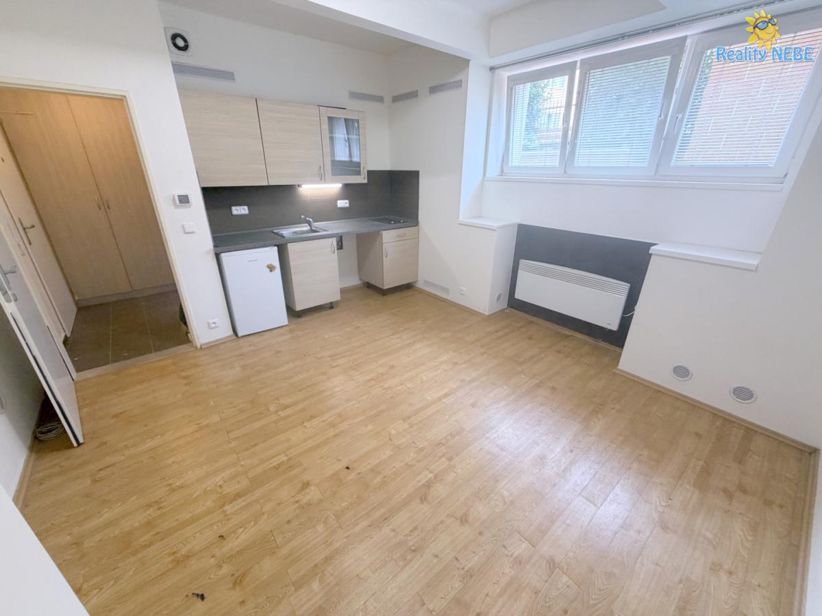 Pronájem garsonky  26m2 U Družstva Ideál Praha Nusle
