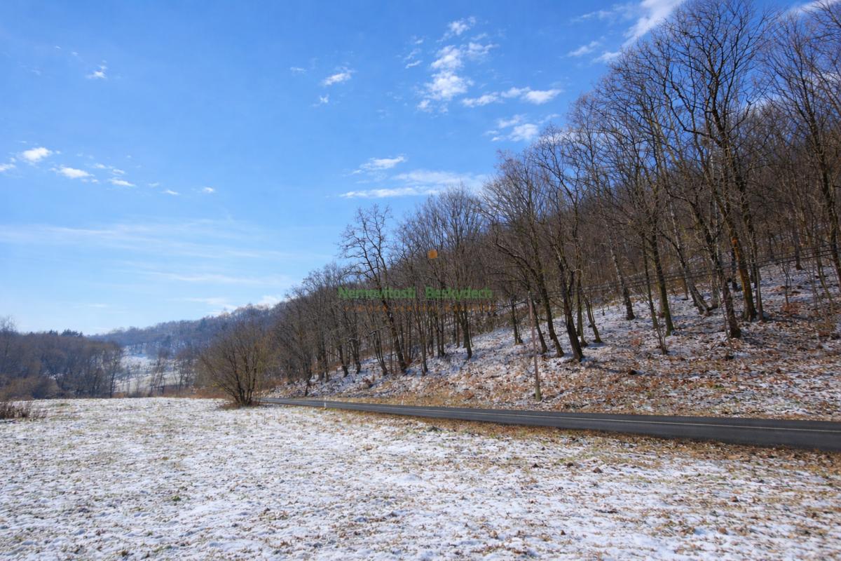 Stavební pozemek na Horní Jasence - Vsetín