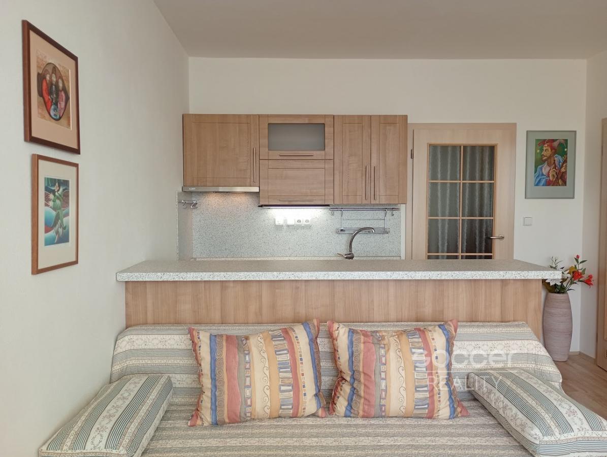 Pronájem hezkého bytu 1+kk, 29m2, Praha 10 - Hostivař, Hostivařská