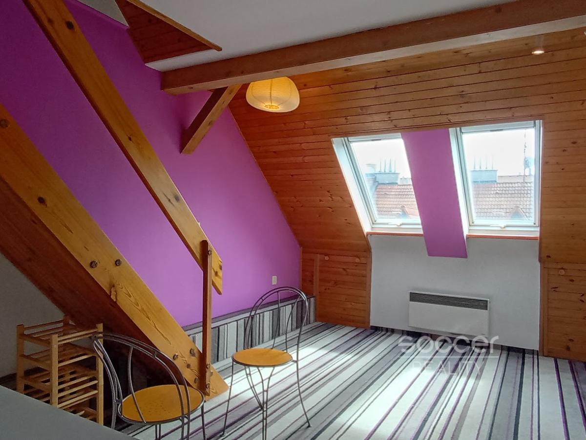 Pronájem bytu 2+kk/M, 40 m2, ul. Jirečkova, Praha 7 - Holešovice.