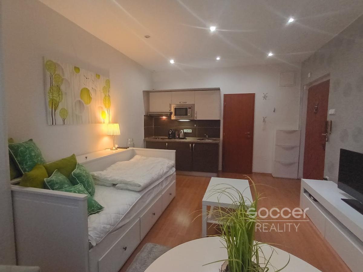 Pronájem bytu 1+kk, 22 m2, Praha 4 - Nusle, Na Jezerce
