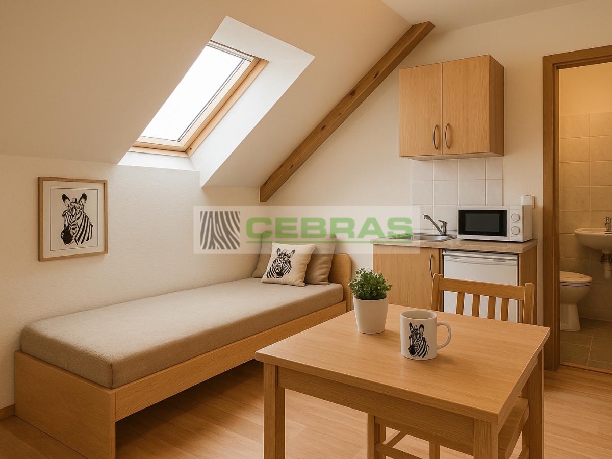 Ilustrativní zobrazení