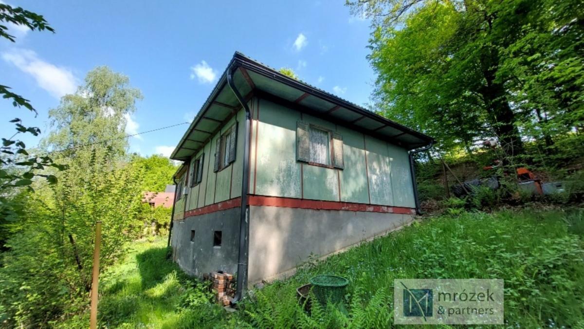 20250501_101333 (1).jpg