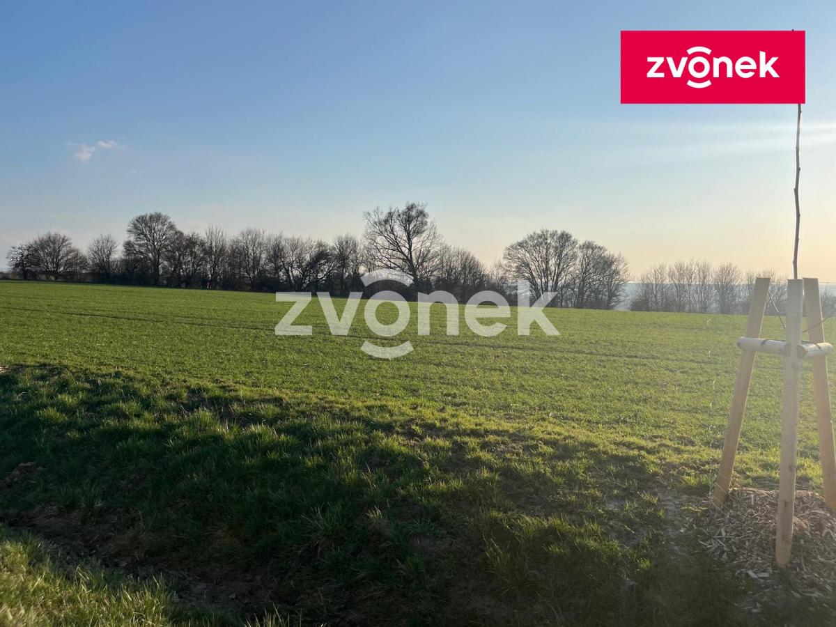 Obrázek k zakázce č.: 729131