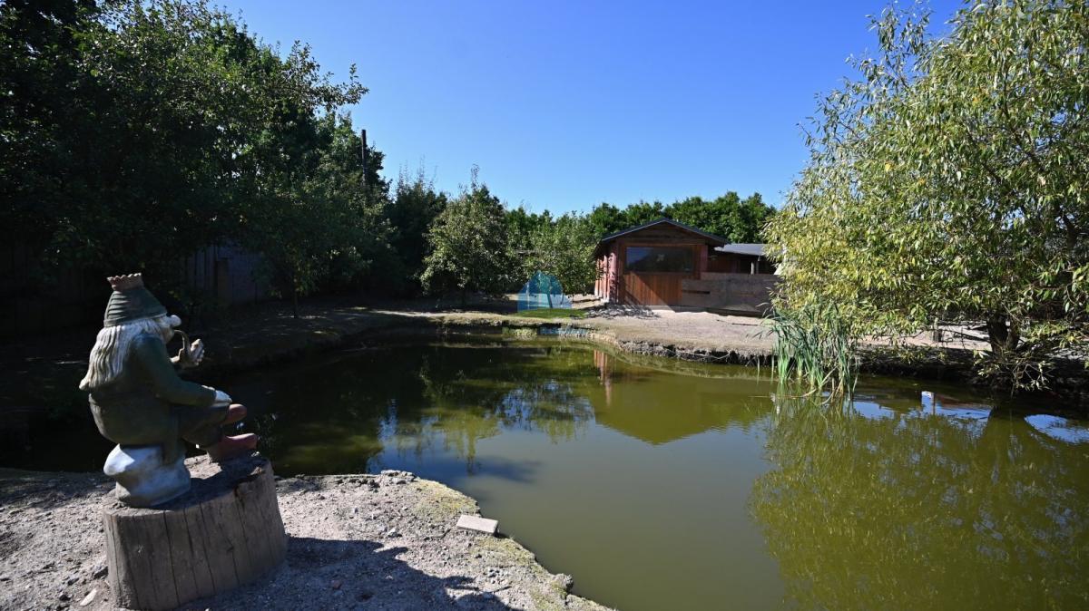 Krapice pozem (66).JPG