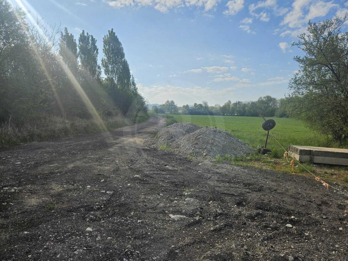 WhatsApp Image 2025-04-29 at 08.41.02 (1).jpeg