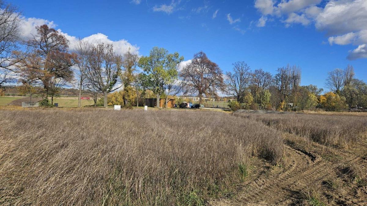 WhatsApp Image 2025-10-30 at 13.00.54 (1).jpeg