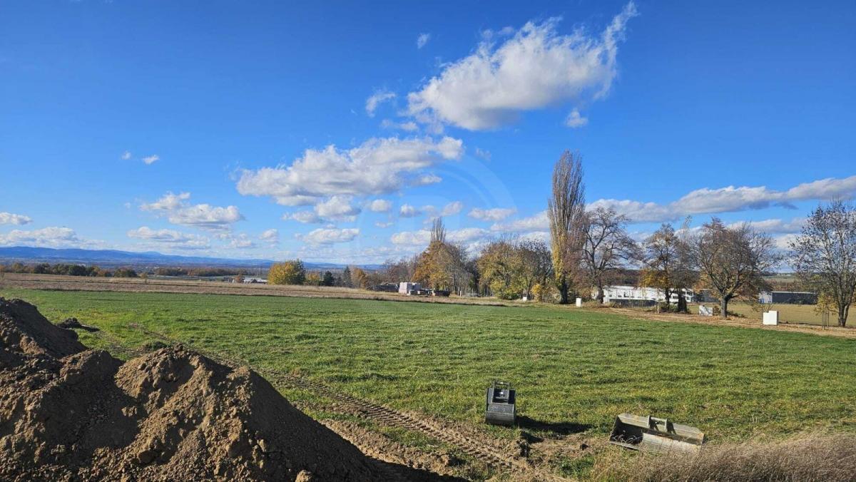 WhatsApp Image 2025-10-30 at 13.00.54 (4).jpeg