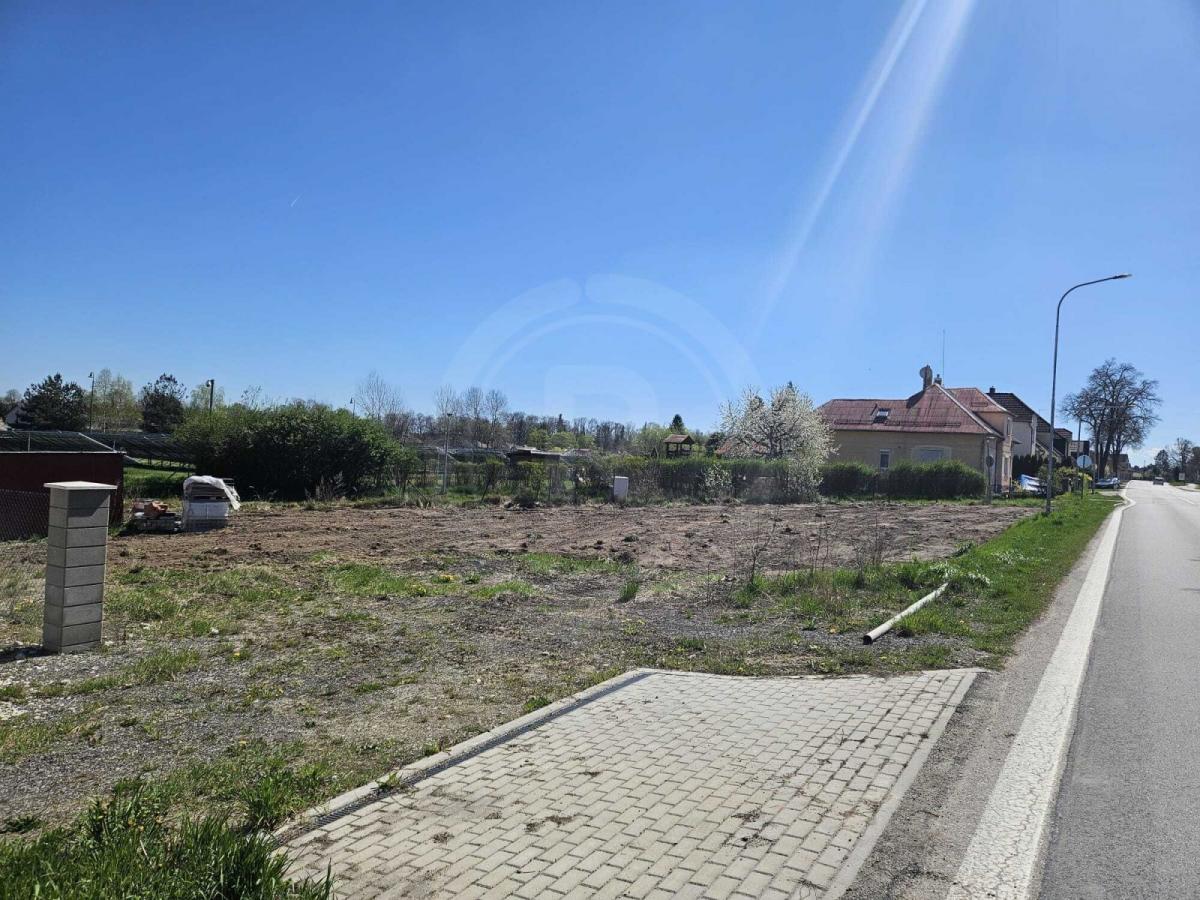 WhatsApp Image 2025-04-22 at 10.37.18.jpeg