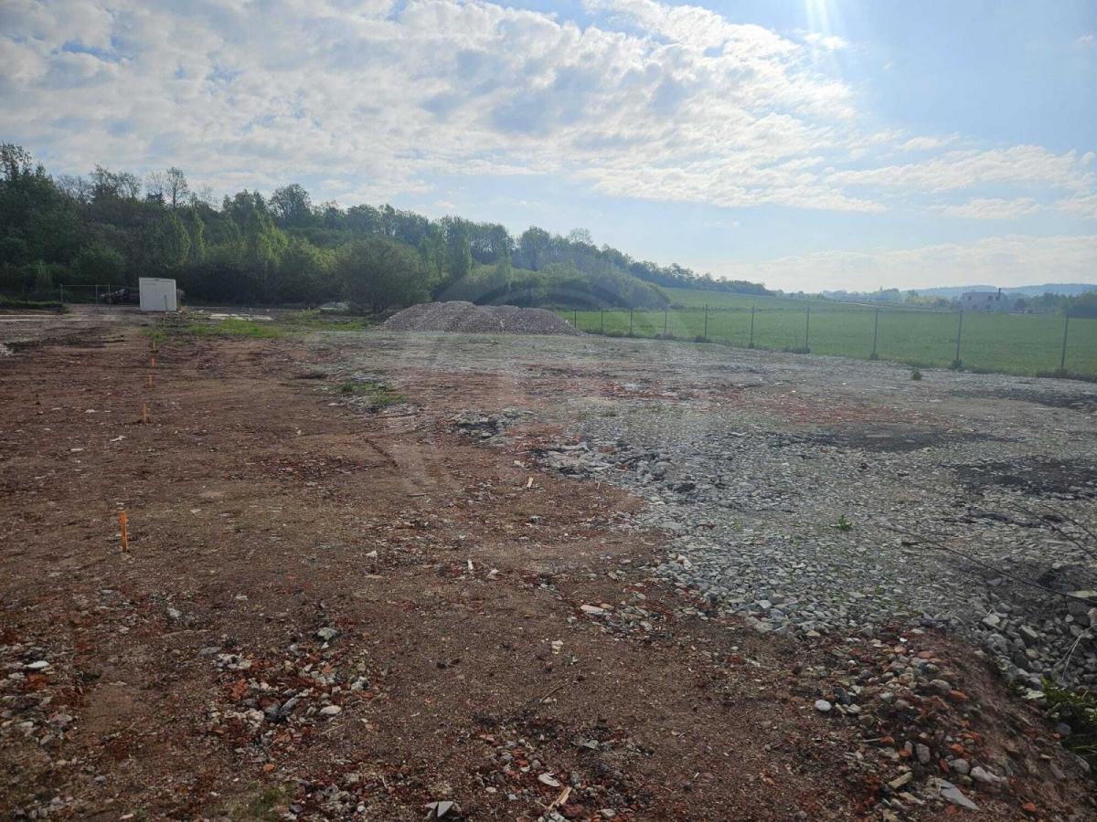 WhatsApp Image 2025-04-29 at 08.41.03.jpeg