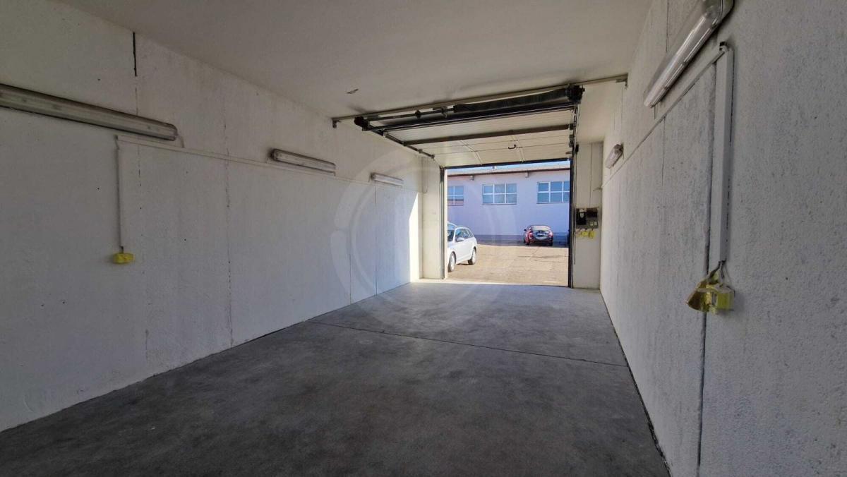 WhatsApp Image 2023-11-27 at 12.23.26.jpeg