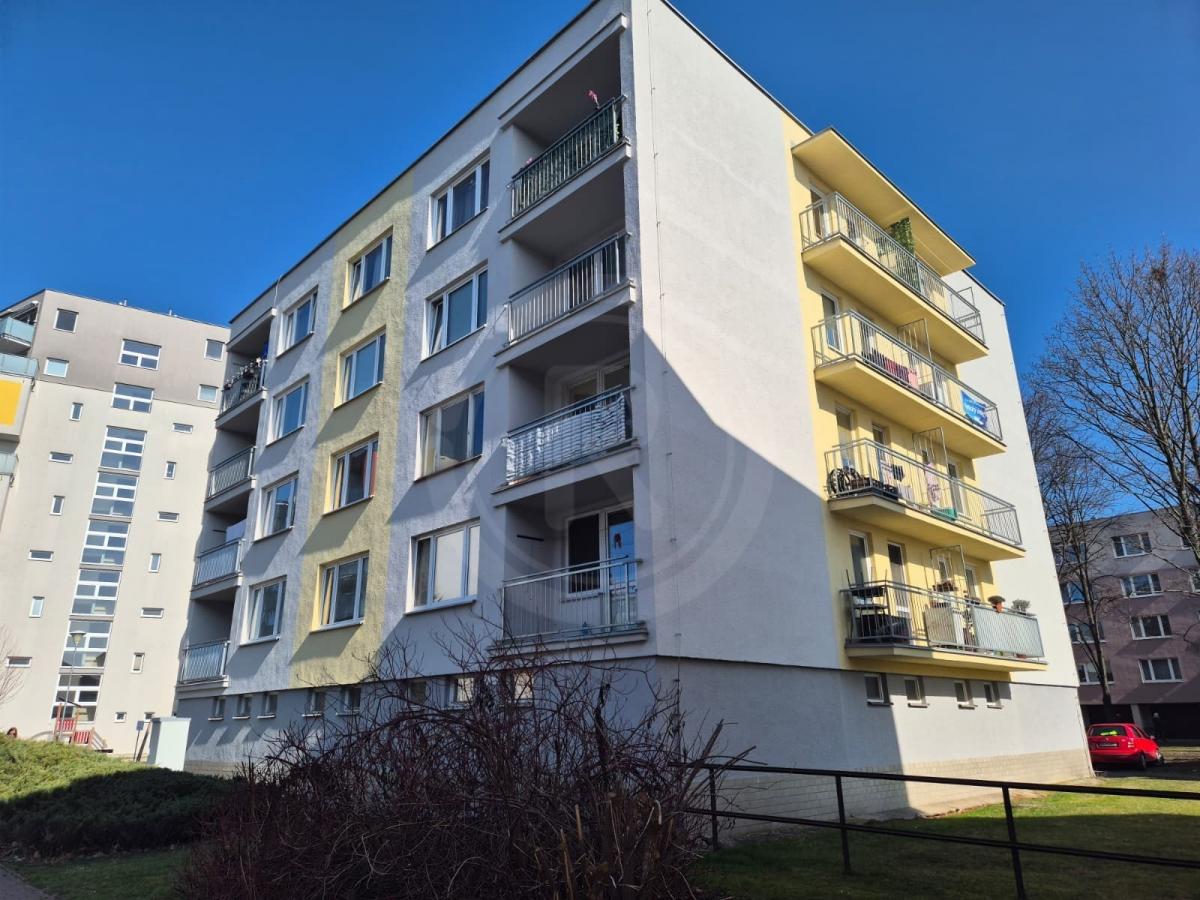 WhatsApp Image 2026-03-02 at 13.36.48 (2).jpeg