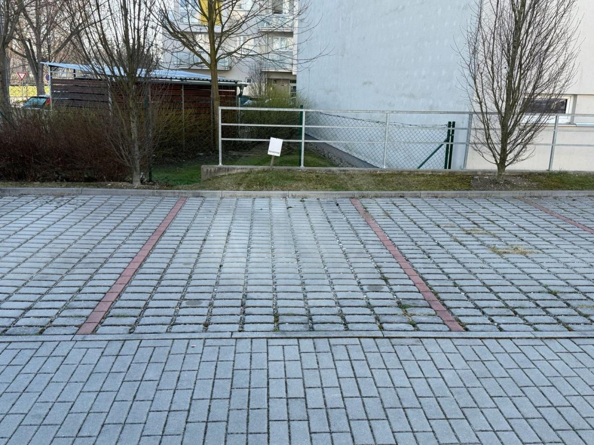 WhatsApp Image 2026-03-19 at 09.03.11.jpeg