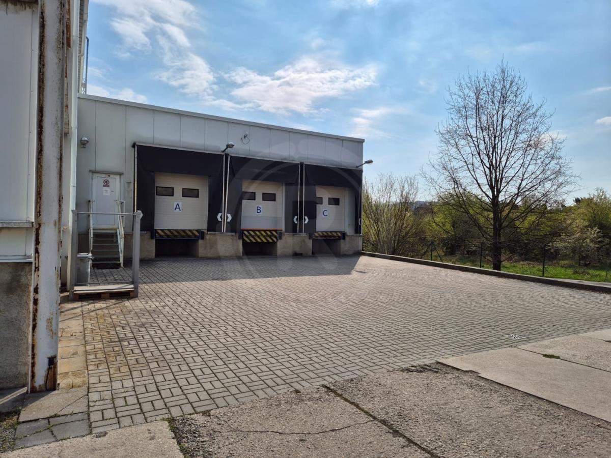 WhatsApp Image 2026-04-17 at 10.09.52 (2).jpeg