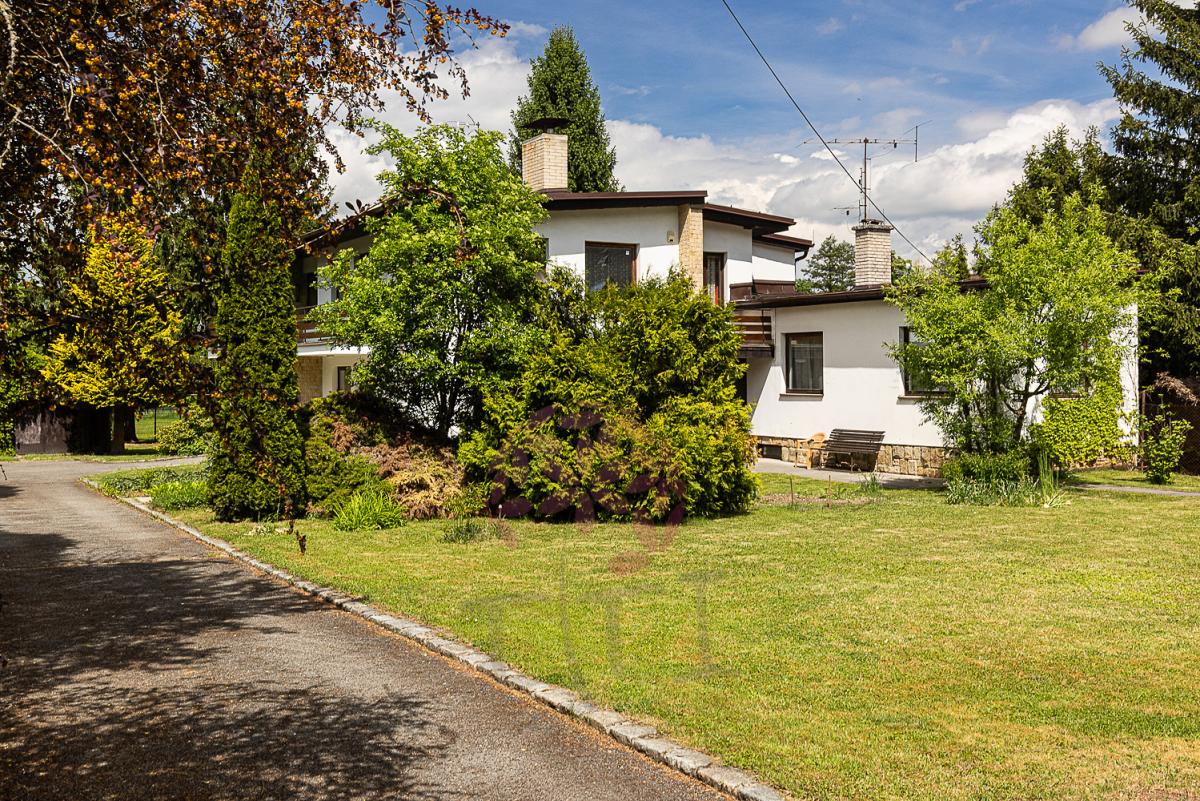 filip jandourek-5827.jpg