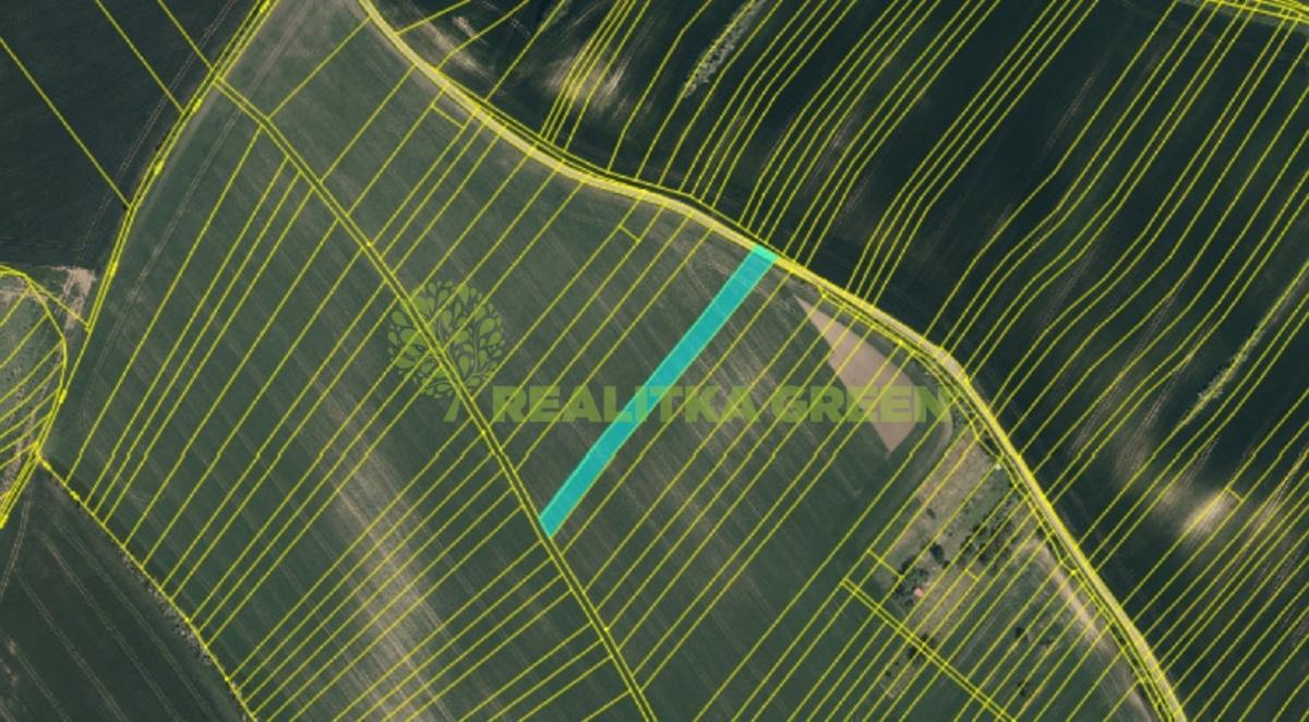 Záznam celé obrazovky 19.01.2026 144028.jpg