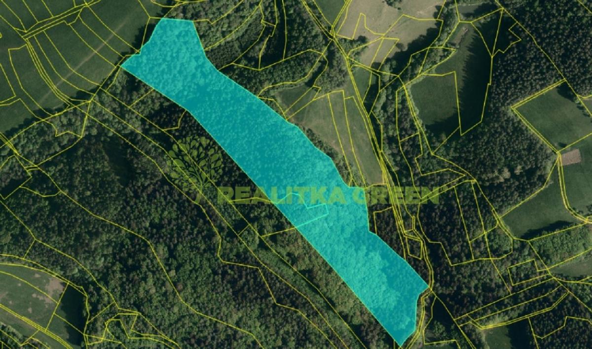 Záznam celé obrazovky 29.01.2026 121641.jpg