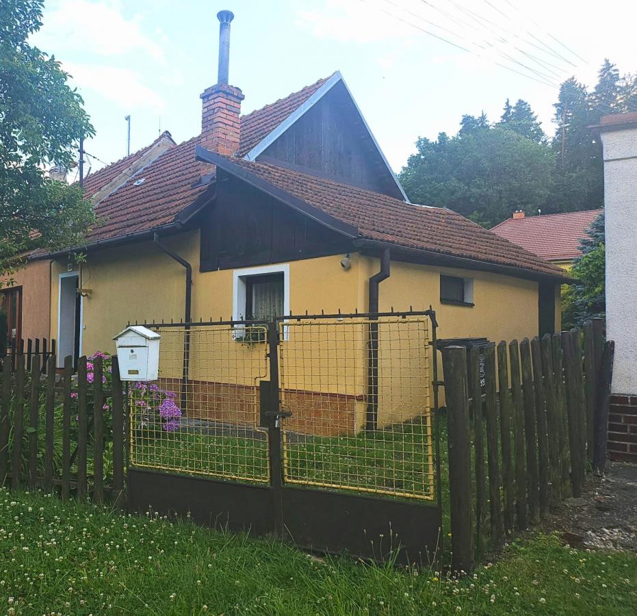 úvodní fotka.jpg