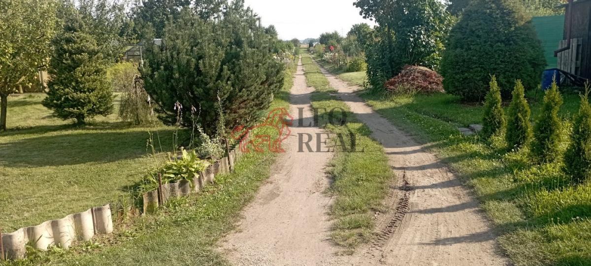 příjezdová cesta.jpg