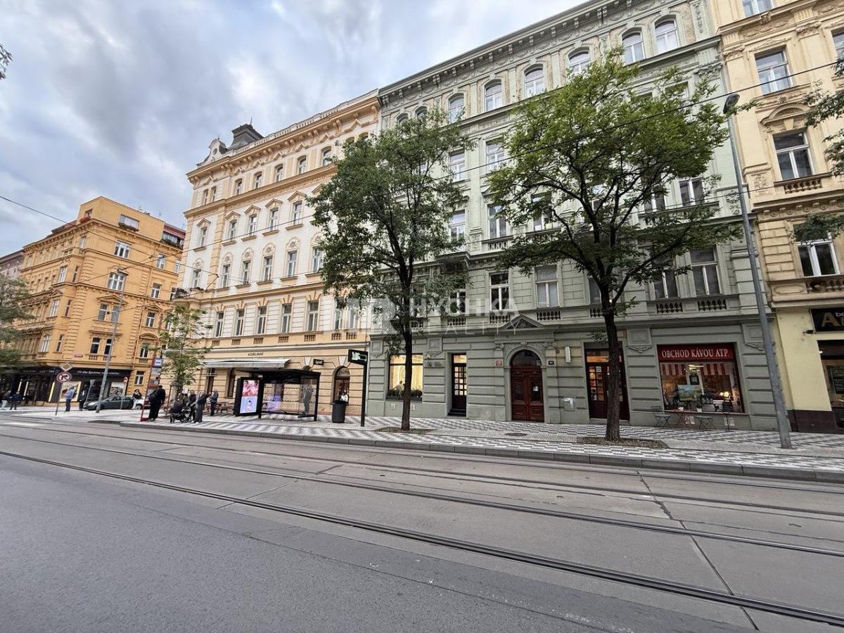 Pronájem bytu 3+kk, 159 m2, Praha 2  Vinohrady