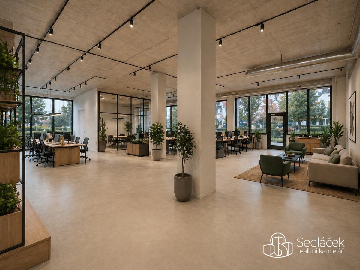 Reprezentativní komerční prostor 350 m² v Sokolově
