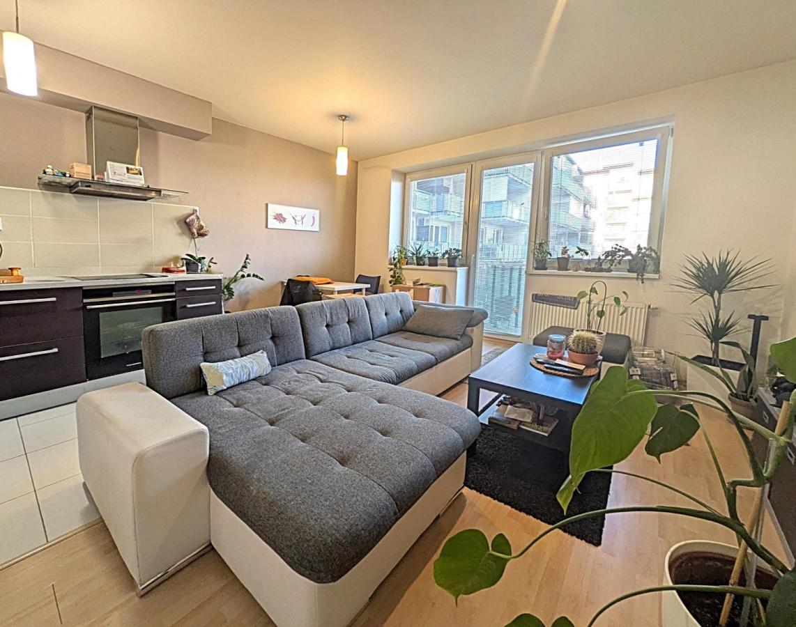 Prodej cihlového bytu 2+kk s terasou, Líšeň