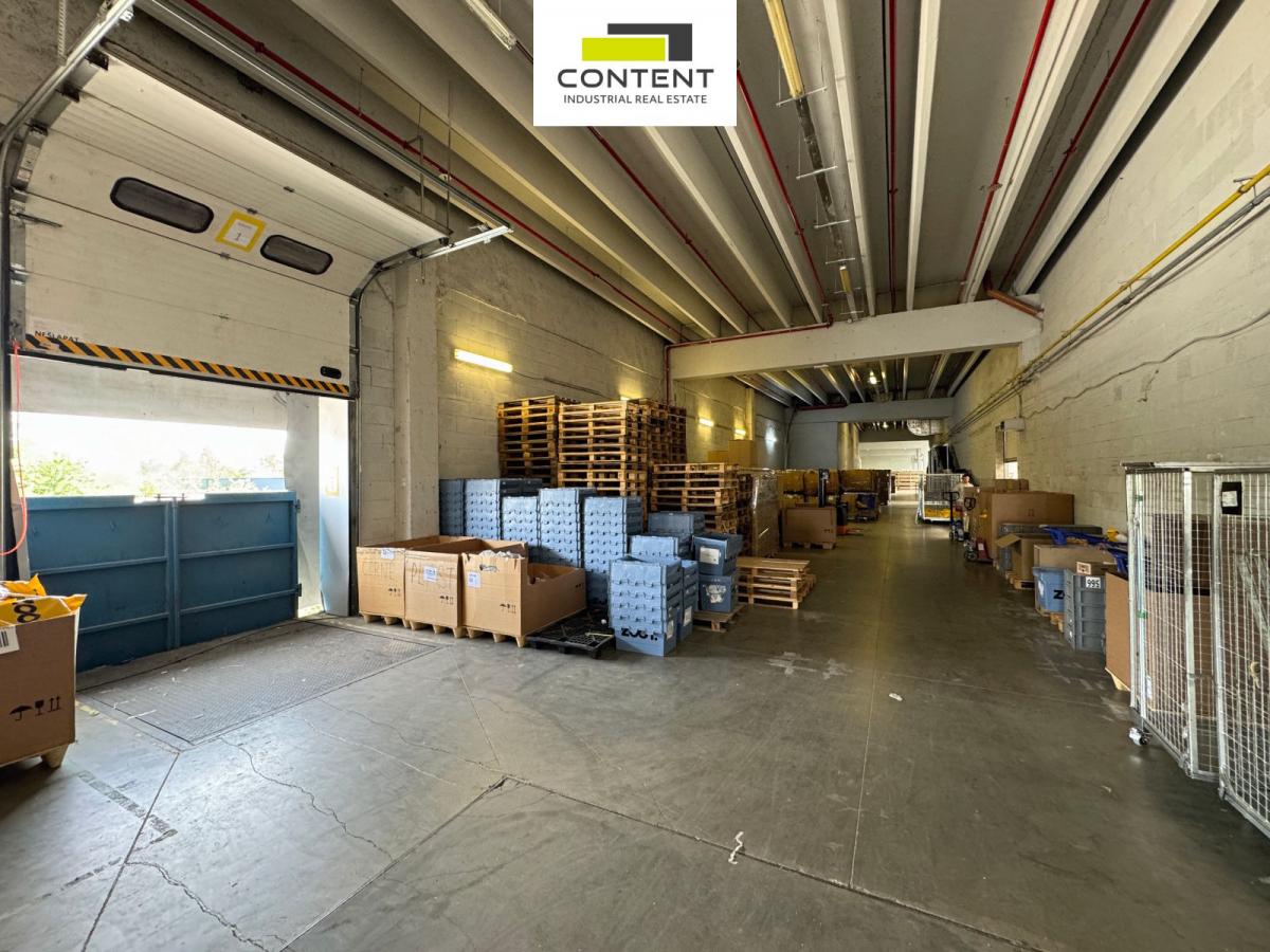 Pronájem skladu, výrobních prostor 4.000 m², Říčany u Prahy