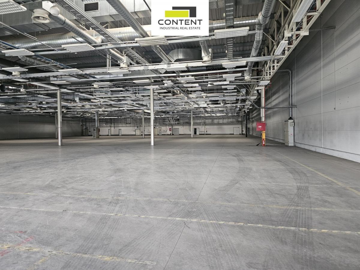 Pronájem skladu, výrobních prostor 6.625 m² Plzeň, Borská pole, D5