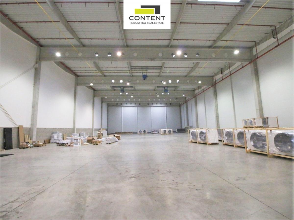 Pronájem skladu, výrobních prostor 2.157 m², Kozomín, D8