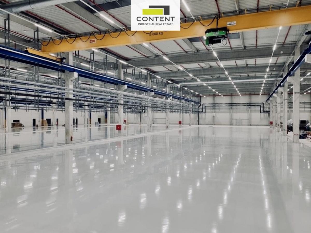 Pronájem novostavby skladových, výrobních prostor 10.000 m², Ostrava, Hrušov, D1